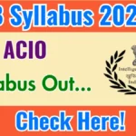 IB Executive Syllabus