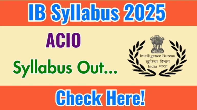 IB Executive Syllabus